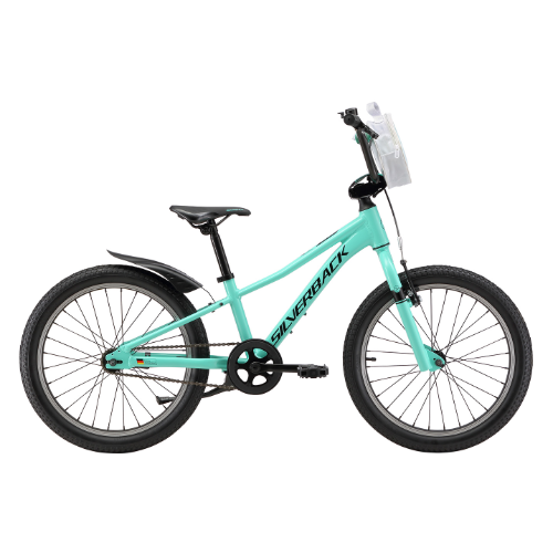 2025 SILVERBACK SKID 20" TEAL