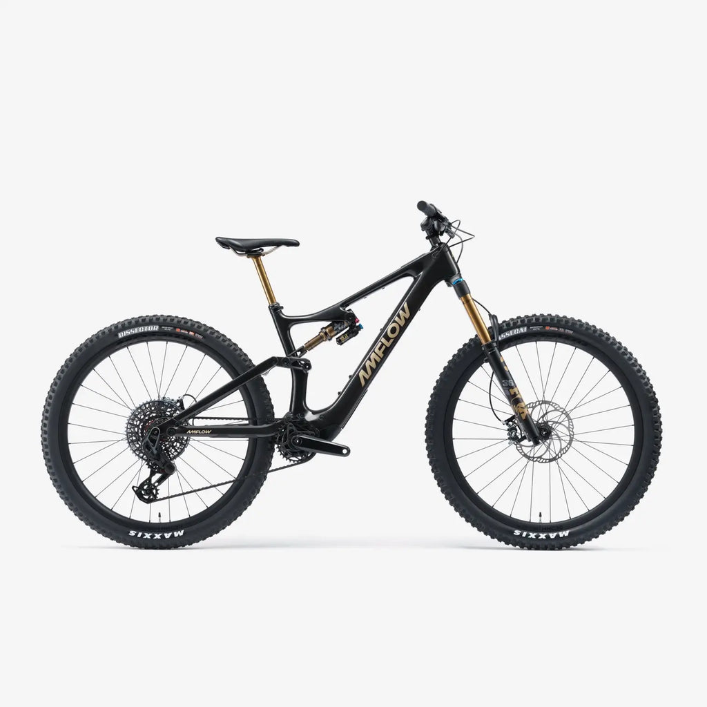 Amflow PL Carbon Pro (800Wh)